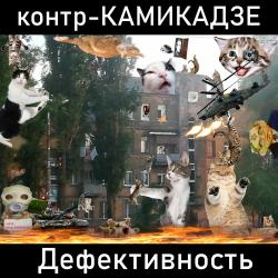 контр-КАМИКАДЗЕ